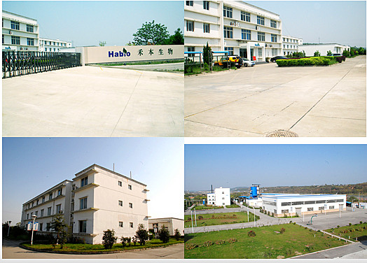 Enzyme phytase végétale avec solubilité dans l'eau 8