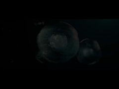 profil de l'entreprise