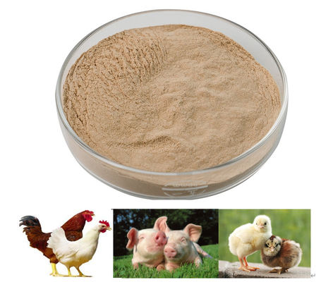 Enzyme de rupture de peptide de qualité alimentaire à haute stabilité