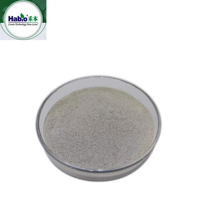 200000U/G Enzyme catalase certifiée FDA éliminer le peroxyde d'hydrogène avant la teinture