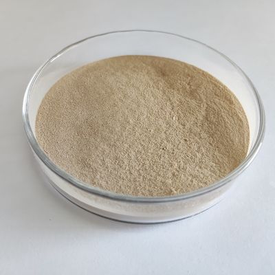 Enzyme protéolytique digestive à haute efficacité Habio Neutral Protease en poudre/granule 100 000 u/g