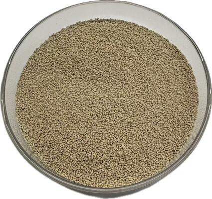 Enzyme lipase pour l'alimentation animale pour une meilleure digestibilité des graisses et une meilleure utilisation de l'énergie | LIPOZYME