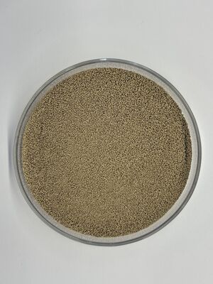 Enzyme BP100 de protéase d'alimentation à haute stabilité pour une meilleure utilisation des protéines et une meilleure digestibilité des acides aminés (100 000 U/g)