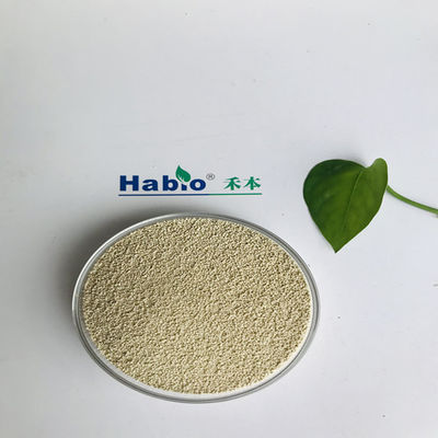 Thermostabilité élevée de poudre de la lipase 200000U/G pour l'industrie d'alimentation de nourriture