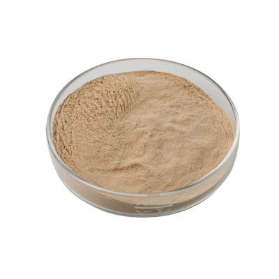 l'enzyme alcaline de la protéase 100000U saupoudrent Brown jaune pour le brassage d'alcool