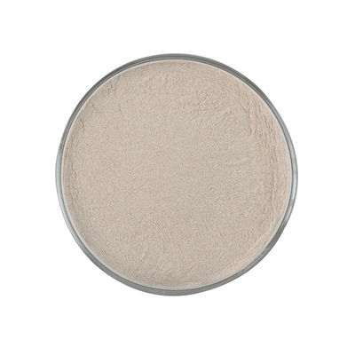 Catégorie comestible Cas 9013 01 8 Alpha Amylase Enzyme fongique 100,000U pour la cuisson