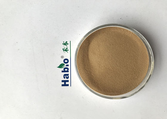 Amylase fongique du mi Temp ISO22000 très utilisée pour monosodique
