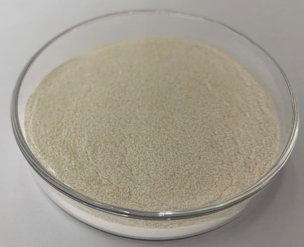 Protéase 5000u/G-400000u/G poudre granule alimentation bétail et volaille général acide/neutre/protéase alcaline