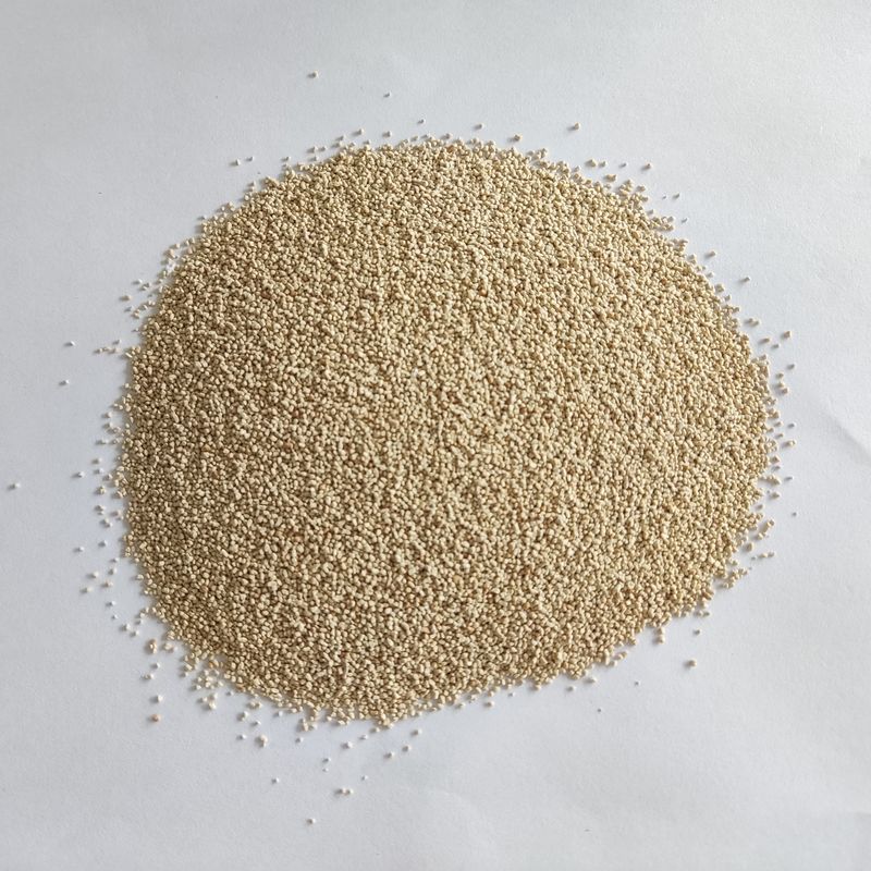 Poudre d'enzymes de lipase fiable Additif alimentaire Poudre de lipase 50 000 U/G-300 000 U/G
