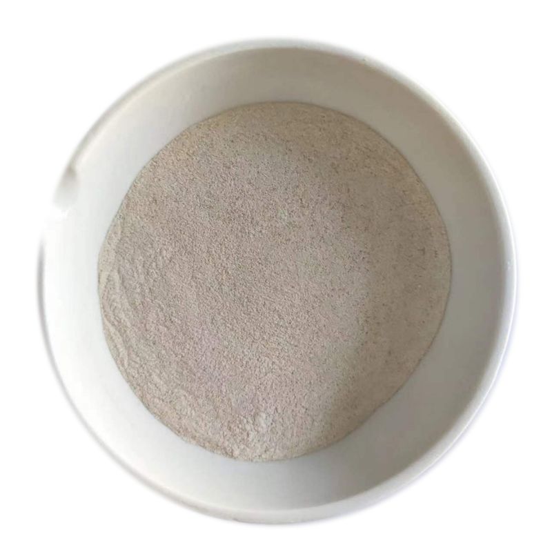Poudre d'enzymes de lipase fiable Additif alimentaire Poudre de lipase 50 000 U/G-300 000 U/G