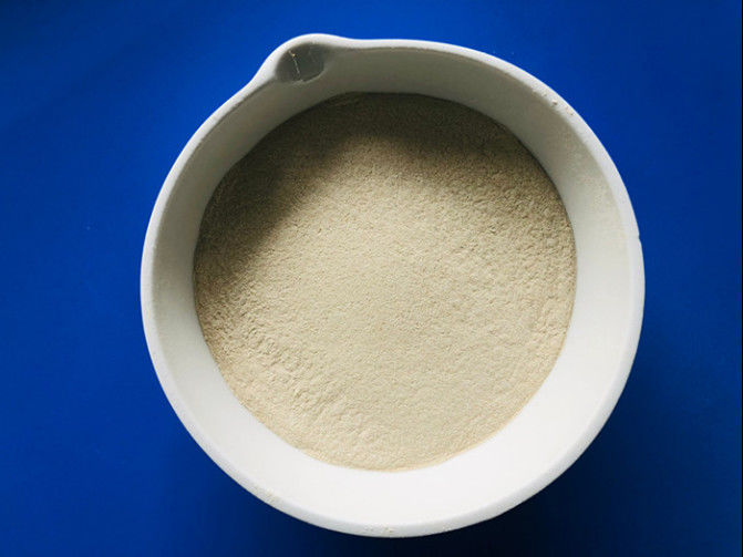 Enzyme industrielle Cas 9025 57 de protéase de catégorie d'OEM liquide de granule de 4 poudres