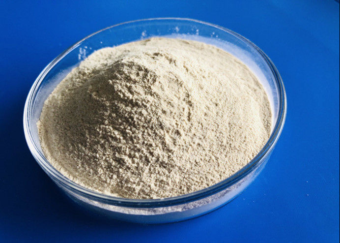 Enzyme industrielle Cas 9025 57 de protéase de catégorie d'OEM liquide de granule de 4 poudres
