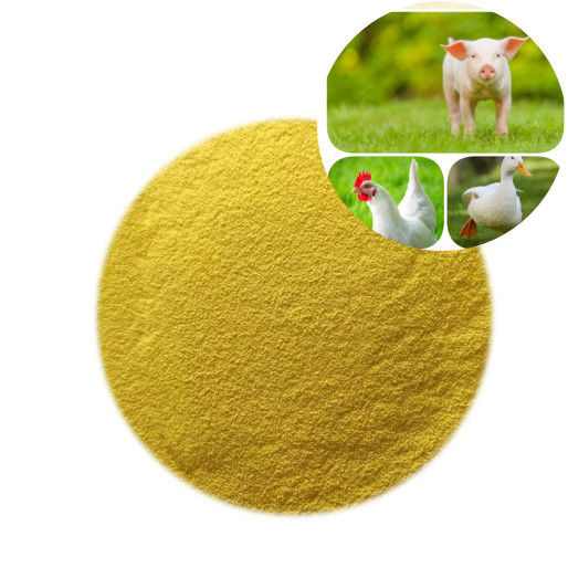 Additifs d'alimentation de poudre d'enzymes de glucose oxydase de DIEU de nutrition de volaille