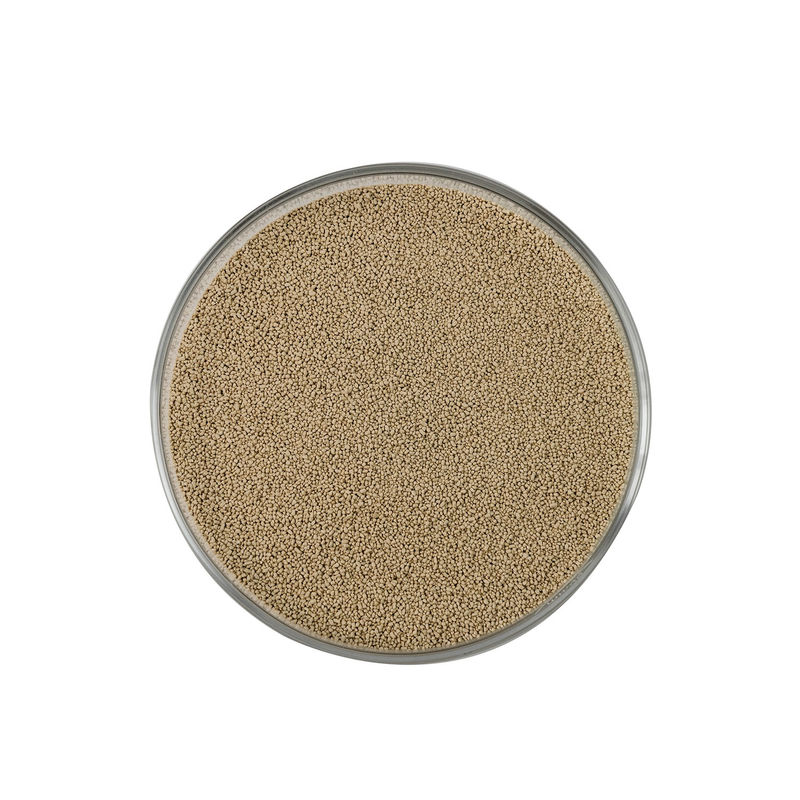 Premix Enzymes d'alimentation avec enzyme NSP Granule jaune brun pour le premix à haute activité