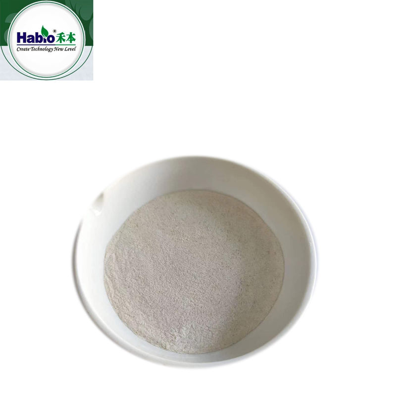 Additif alimentaire Poudre de lipase 50 000 U/G-300 000U/G