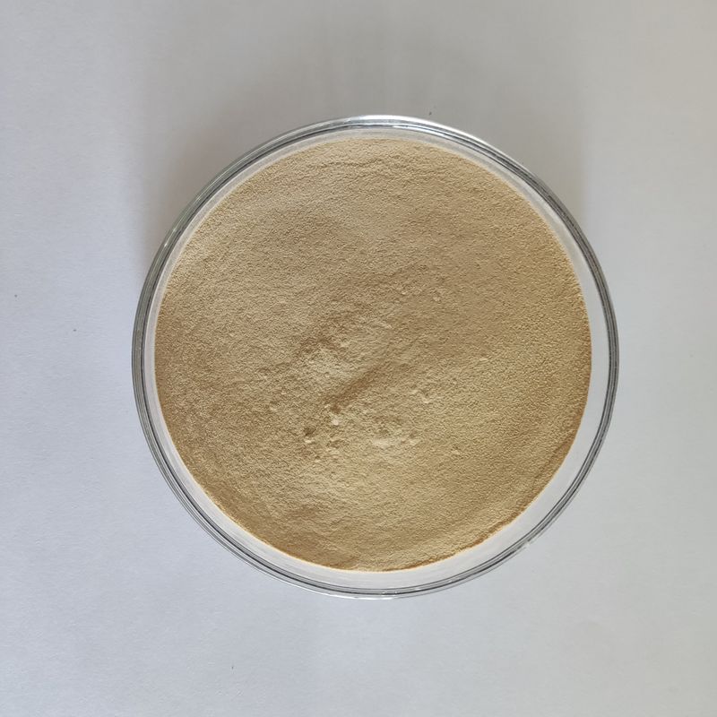 Habio Protéase BP100 100,000U/g Poudre/Protéase d'alimentation intestinale entière de granule
