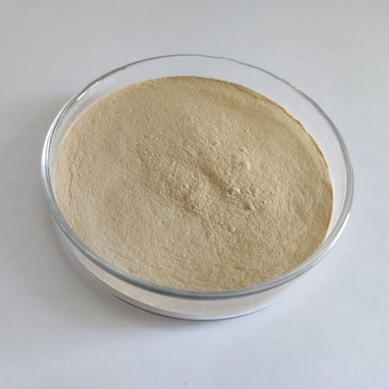 Habio Protéase BP100 100,000U/g Poudre/Protéase d'alimentation intestinale entière de granule
