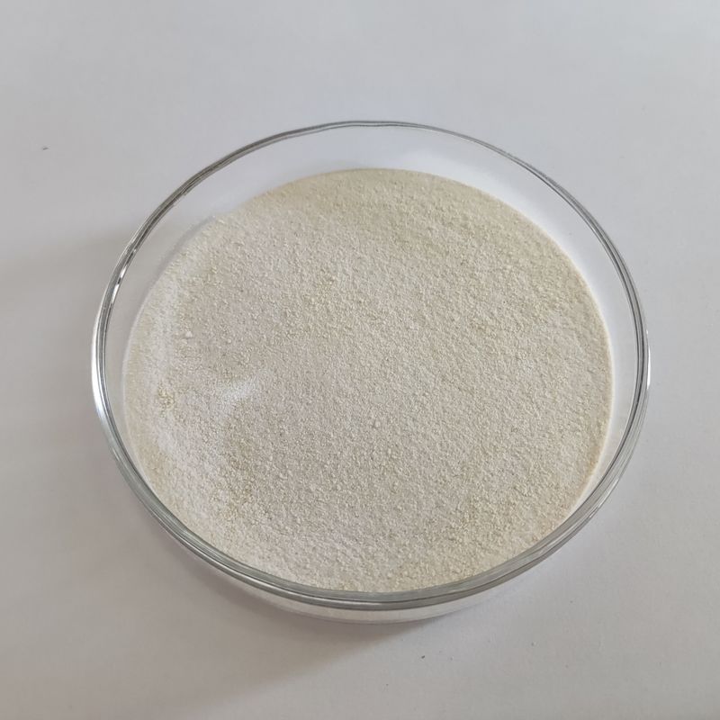 Améliorer l' hydrolyse des protéines et l' enzyme kératinase Blanc de haute pureté dans l'industrie du cuir