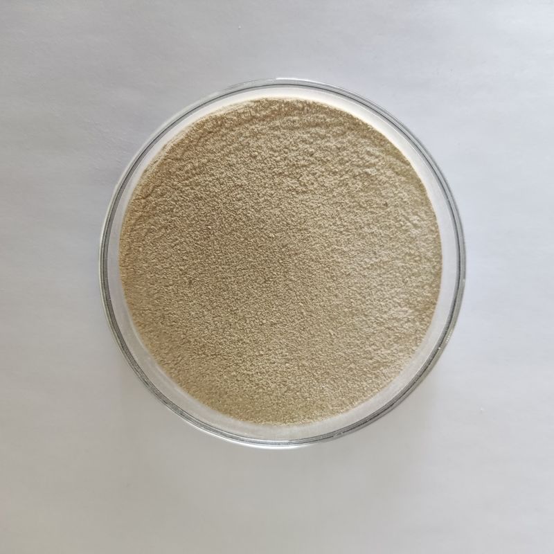 Enzyme protéolytique acide de rendement élevé de poudre de protéase d'acide de Habio 100,000U/G
