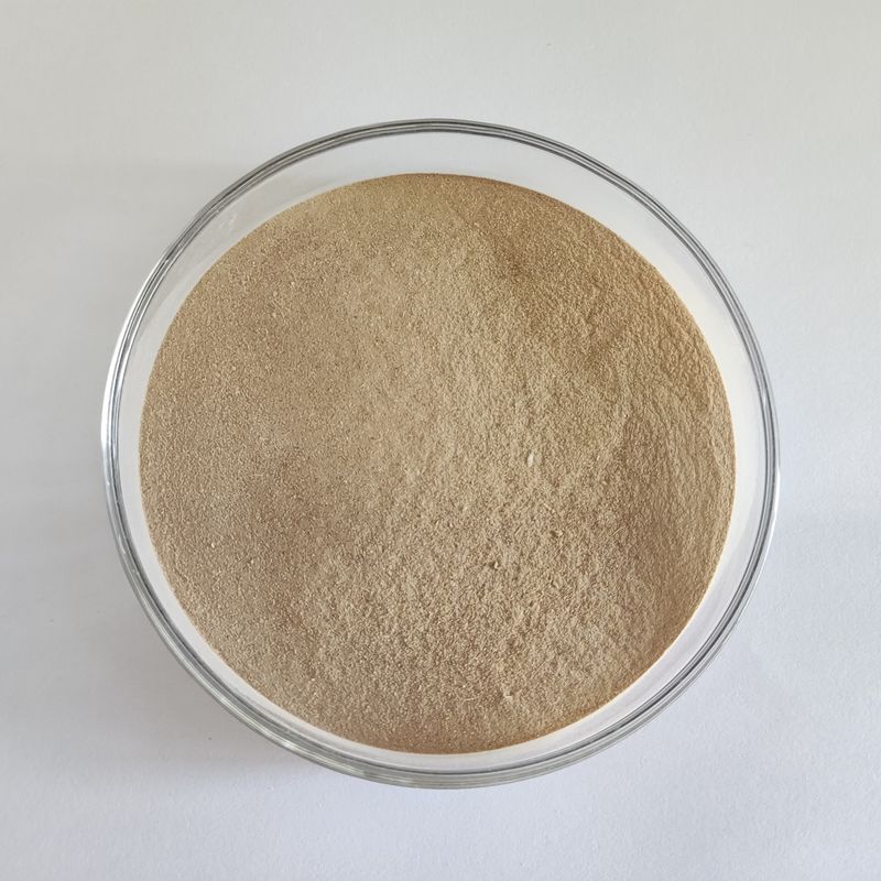 Enzyme de séparation des peptides de qualité alimentaire Habio Protease Bp100 à haute stabilité