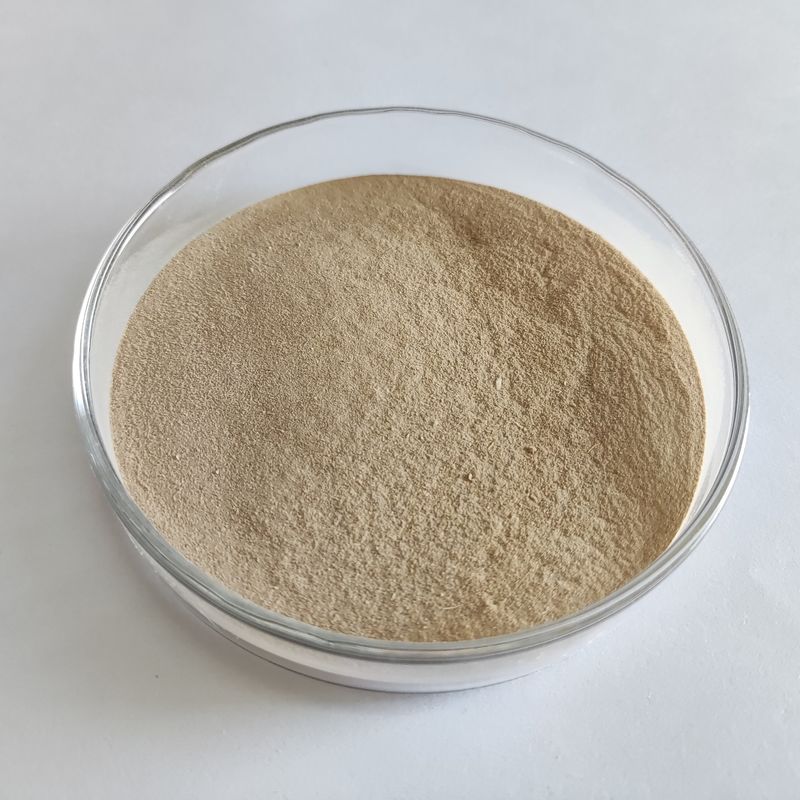 Enzyme de séparation des peptides de qualité alimentaire Habio Protease Bp100 à haute stabilité