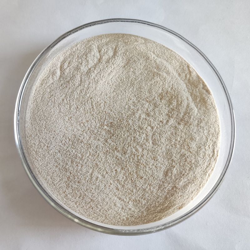 Poudre de lipase enzymatique 50 000 à 200 000 Fermentation microbienne Enzyme lipase
