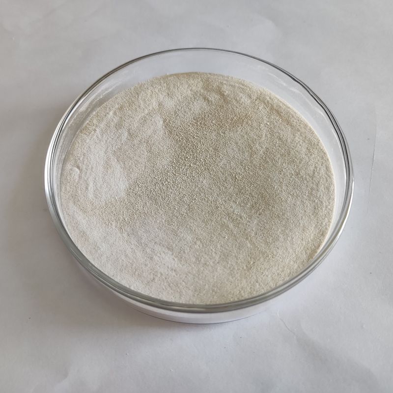 Poudre de lipase enzymatique 50 000 à 200 000 Fermentation microbienne Enzyme lipase