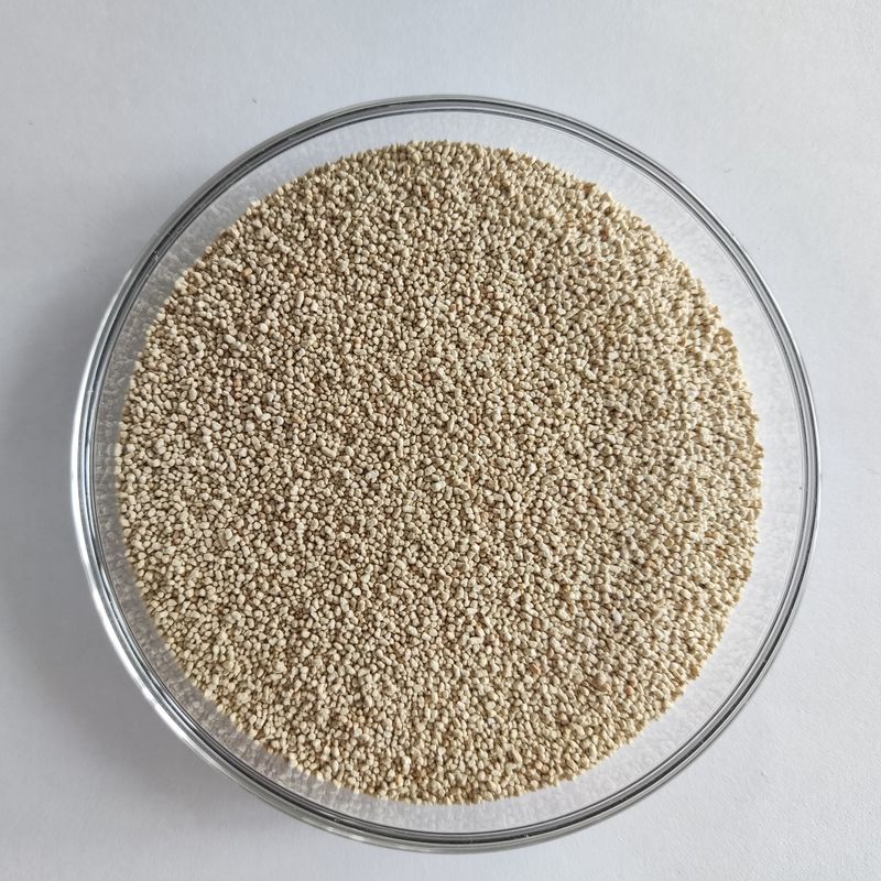 La nutrition par la lipase habioenzymatique améliore l'absorption et l'utilisation du biodiesel