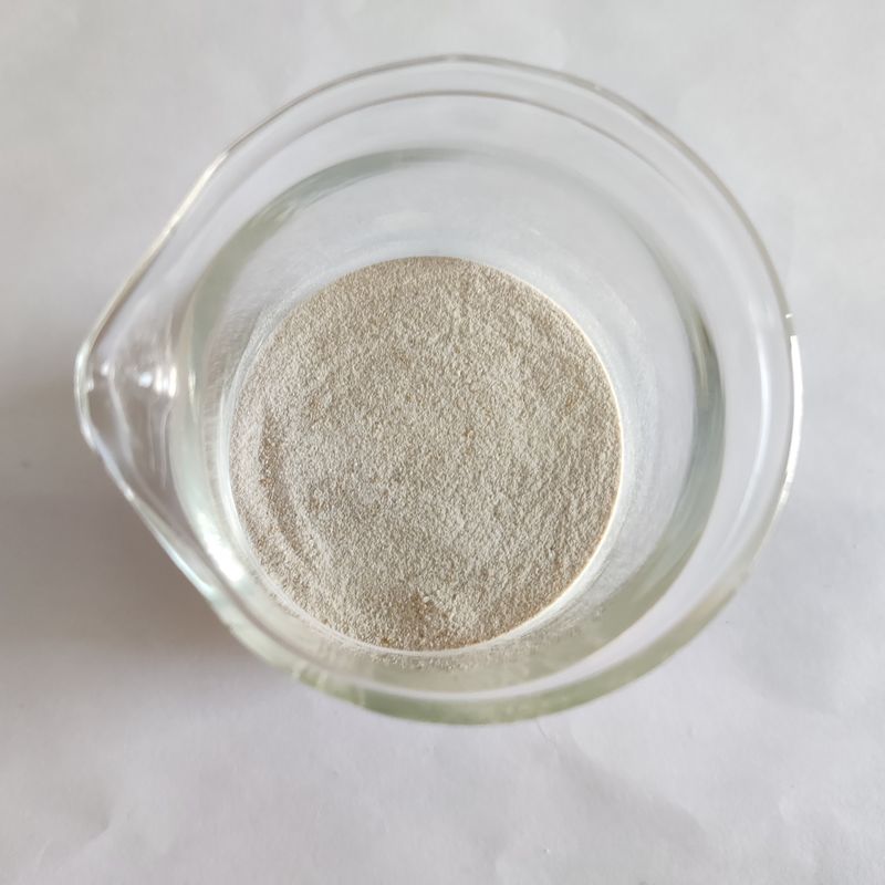 Poudre de lipase enzymatique à haute stabilité 50 000 à 200 000 Enzyme de lipase en blanc Idéal pour diverses applications