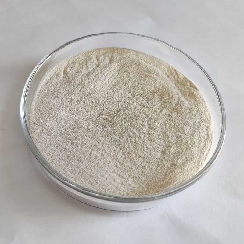 Poudre de lipase enzymatique 50 000 à 200 000 Fermentation microbienne Enzyme lipase
