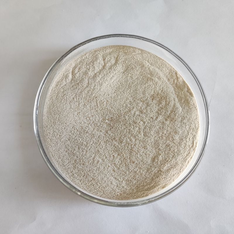 Poudre de lipase enzymatique à haute stabilité 50 000 à 200 000 Enzyme de lipase en blanc Idéal pour diverses applications