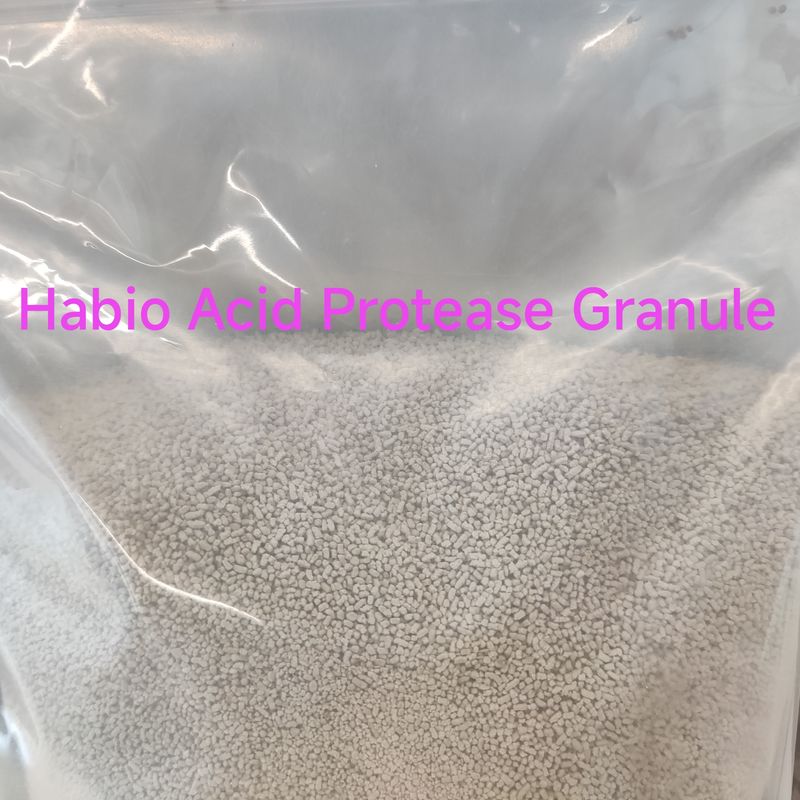 Enzyme protéolytique à haute efficacité de l'acide habio-protease en poudre d'enzyme digestive de 100 000 U/g