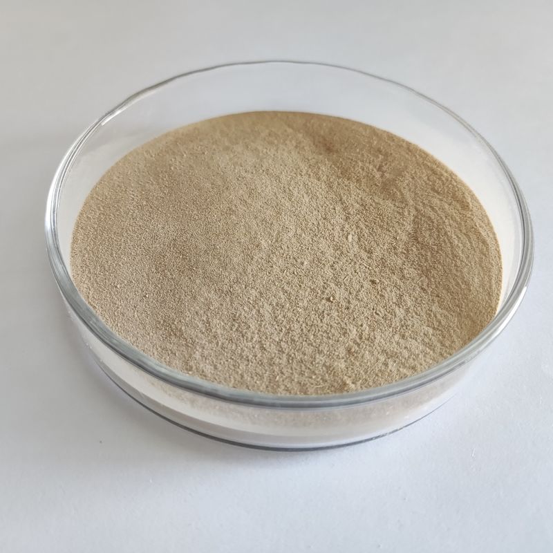 Enzyme protéolytique digestive à haute efficacité Habio Neutral Protease en poudre/granule 100 000 u/g