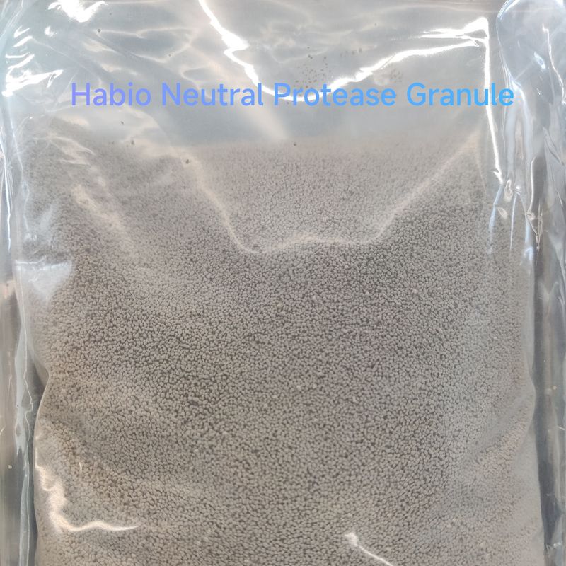 Enzyme protéolytique digestive à haute efficacité Habio Neutral Protease en poudre/granule 100 000 u/g