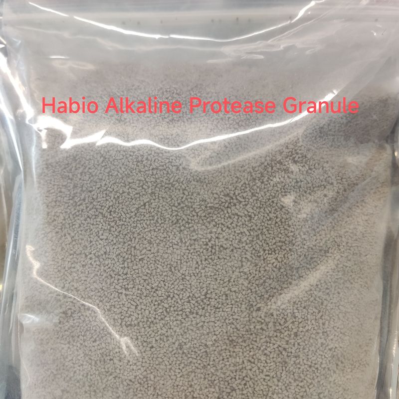 Protéase alcaline Habio Enzyme protéolytique alcaline 100 000 ~ 1 000 000U/G