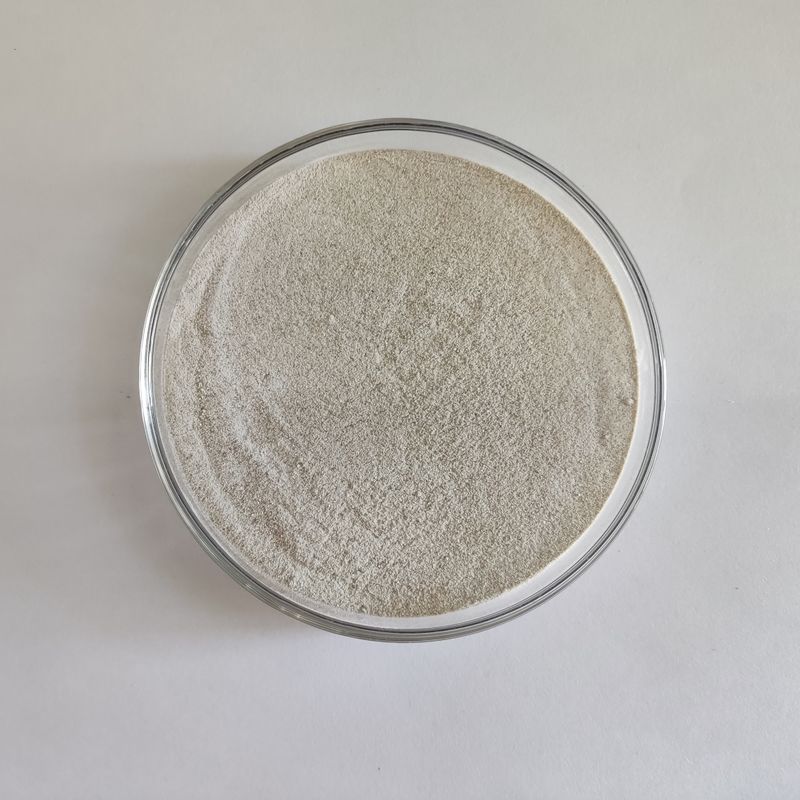 Additif alimentaire certifié FDA Catalase poudre soluble dans l'eau 50 000 à 500 000 u/g réduire la diarrhée