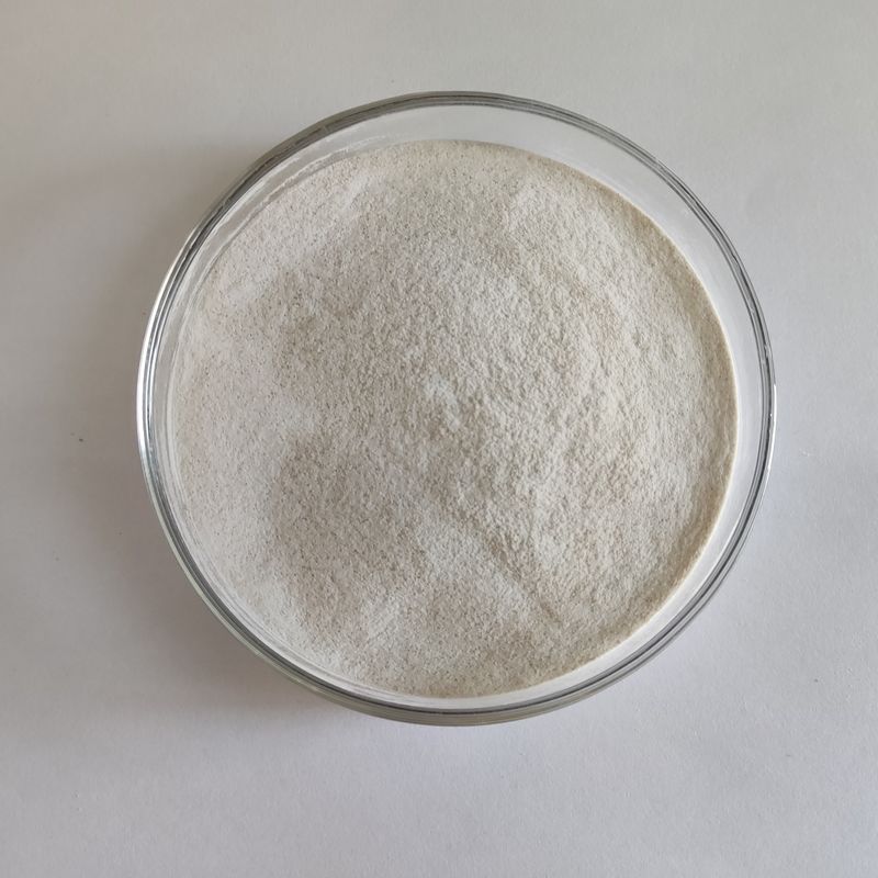 Habio Alpha Galactosidase 50 000 U/g Poudre additifs solubles dans l'eau pour les aliments