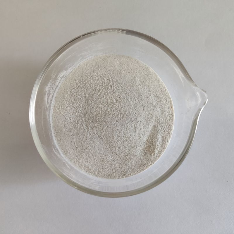 Habio Alpha Galactosidase 50 000 U/g Poudre additifs solubles dans l'eau pour les aliments