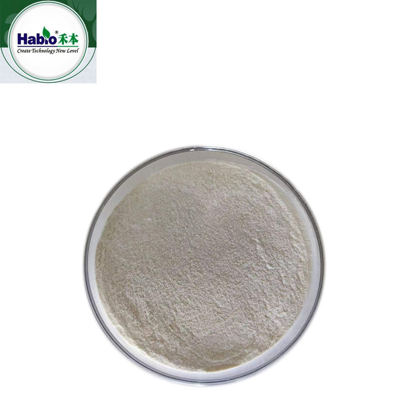Additif alimentaire pour animaux en poudre de protéase alcaline 500 000 U/g