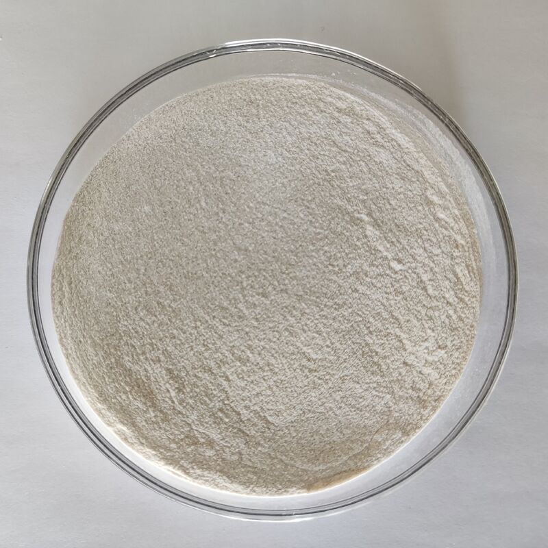 Poudre d'enzyme de protéase alcaline de qualité alimentaire 1,000,000 U/g avec une dégradation des protéines très efficace et des propriétés enzymatiques stables