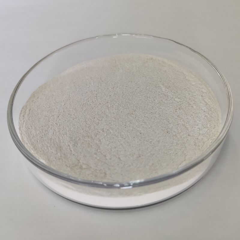 Poudre d'enzyme de protéase alcaline de qualité alimentaire 1,000,000 U/g avec une dégradation des protéines très efficace et des propriétés enzymatiques stables