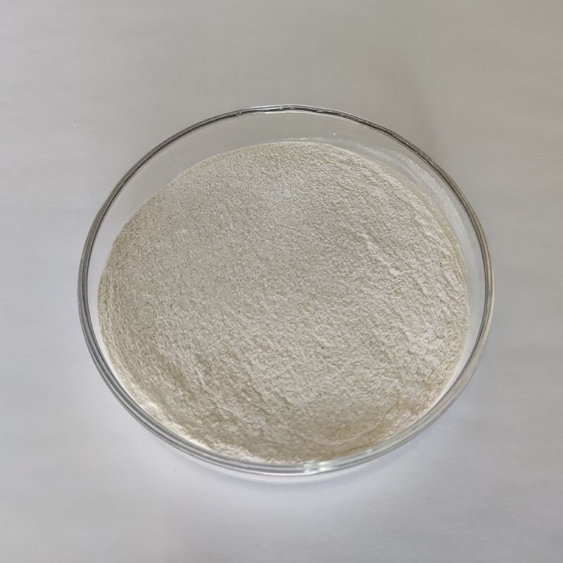 Poudre d'enzyme de protéase alcaline de qualité alimentaire 1,000,000 U/g avec une dégradation des protéines très efficace et des propriétés enzymatiques stables