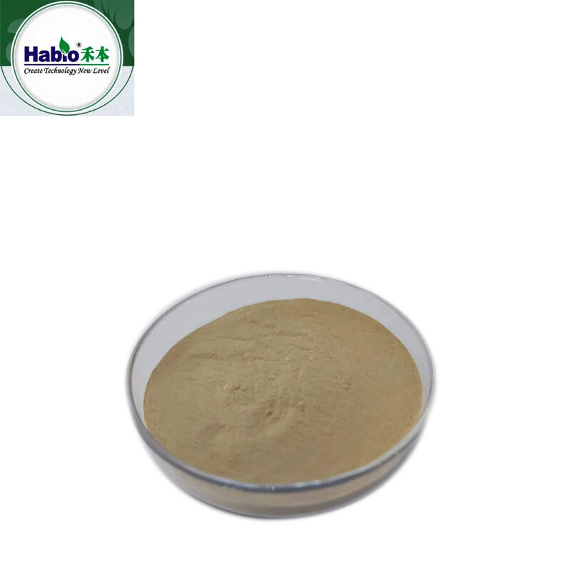 Poudre et granules d' enzymes protéiques