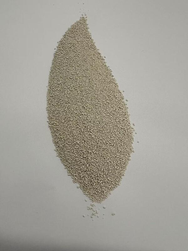 Phytase alimentaire thermiquement stable pour une nutrition animale rentable et durable