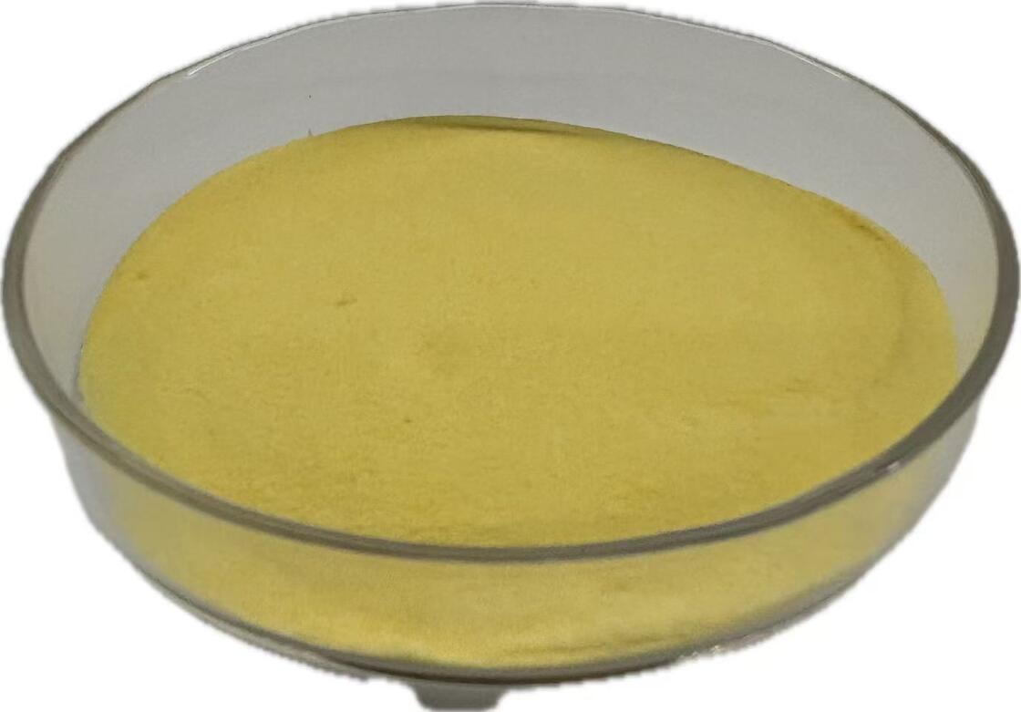 Enzyme oxydase de glucose à haute stabilité pour la régulation du microbiote intestinal et le contrôle oxydatif