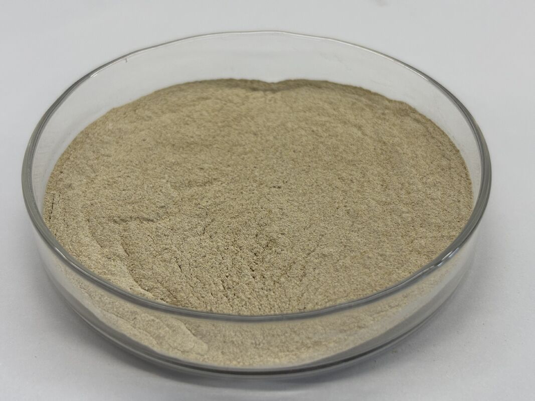 Enzyme protéase alcaline de qualité alimentaire 1,000,000 U/g pour améliorer la digestibilité des protéines et l'efficacité des aliments pour animaux