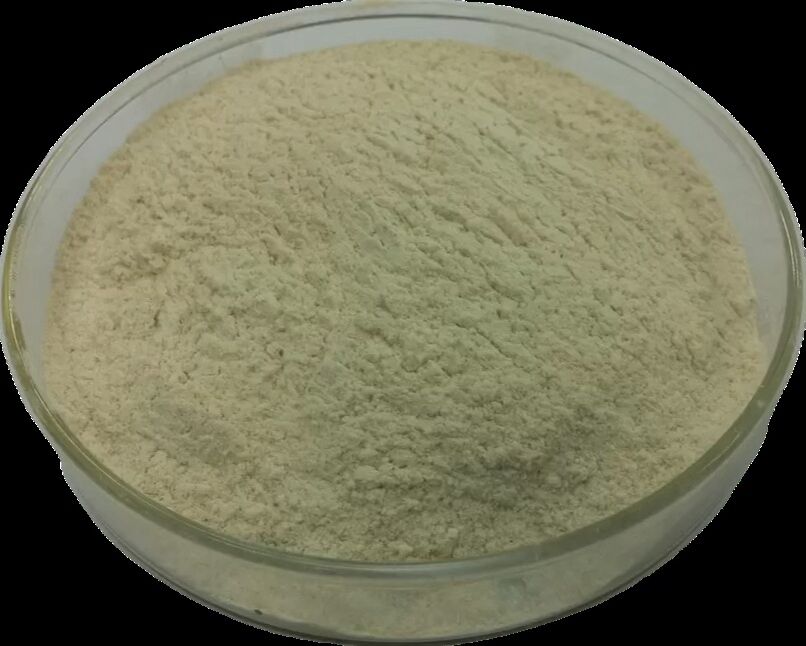 Enzyme d'alimentation pour animaux Habio pectinase pour améliorer la libération et la digestibilité des nutriments dans les aliments pour animaux CAS 9032-75-1