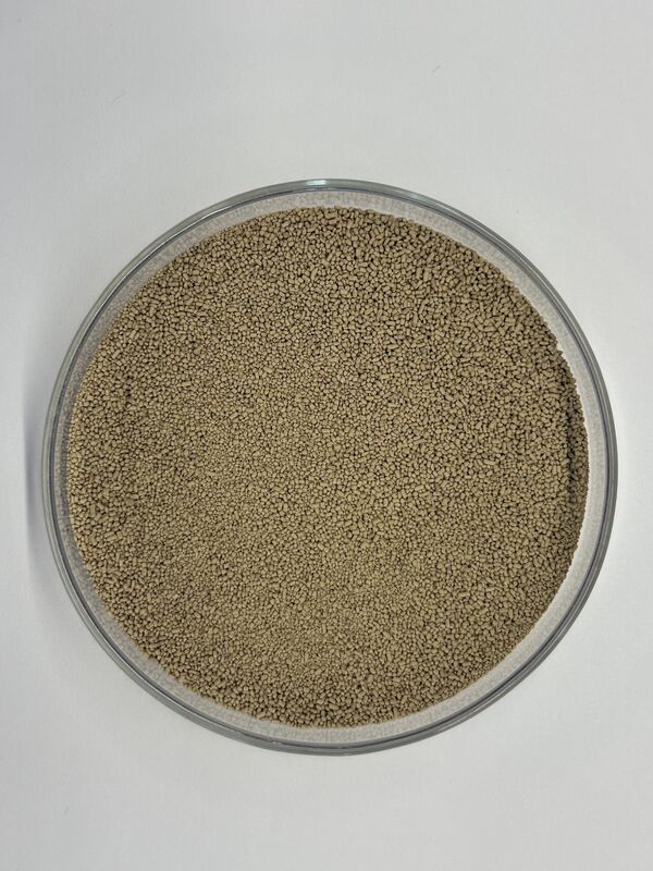 Additif pour l'alimentation animale BP100 Enzyme Protéase Granulée pour une meilleure digestibilité des protéines