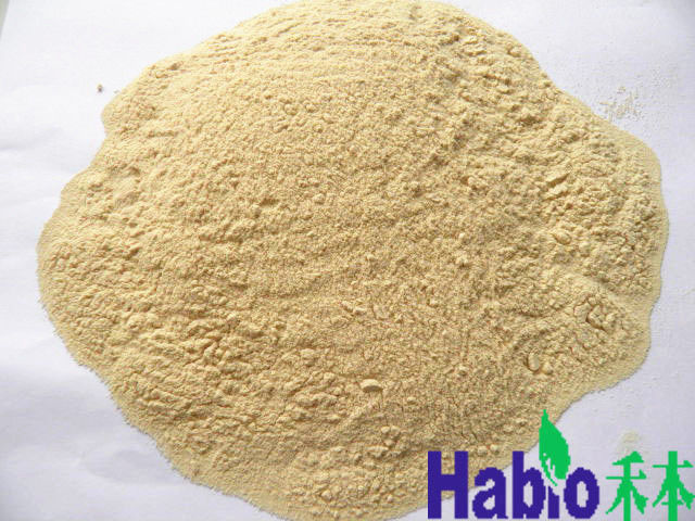 Poudre jaune d'enzymes de cellulase de Habio 10000U Brown pour la fabrication de papier