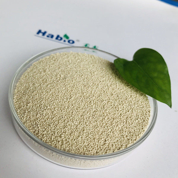 l'enzyme jaunâtre de la lipase 10000U saupoudrent de forte activité dans l'industrie d'alimentation